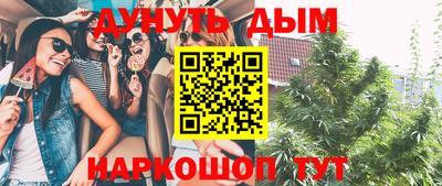 гашик Будённовск