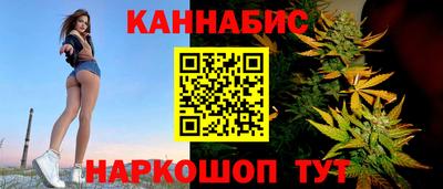 гашик Будённовск