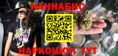 гашик Будённовск