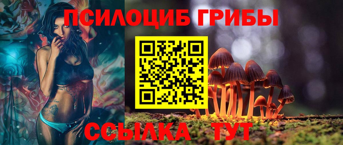 Псилоцибиновые грибы мицелий Набережные Челны